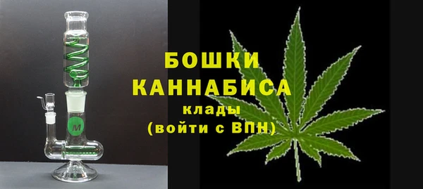 винт Костерёво