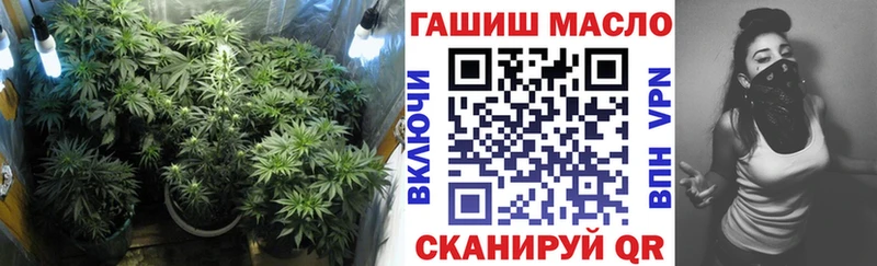 omg зеркало  продажа наркотиков  Нестеров  ТГК THC oil 
