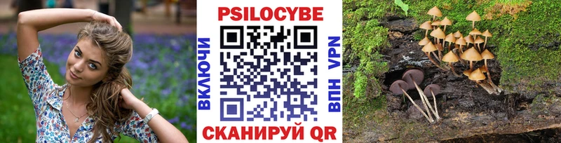Галлюциногенные грибы Magic Shrooms  Нестеров 